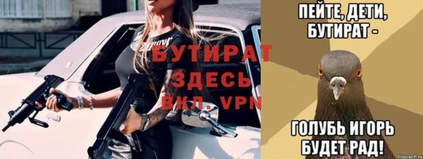 крисы Инта