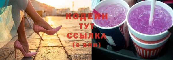 крисы Инта