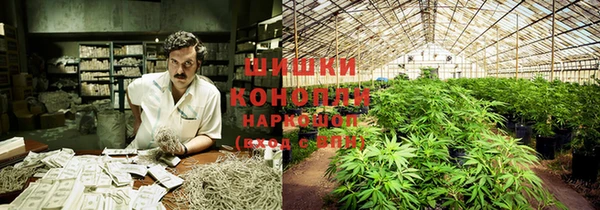 ГАЛЛЮЦИНОГЕННЫЕ ГРИБЫ Иннополис