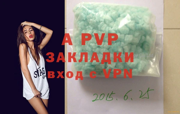 крисы Инта