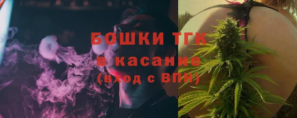 крисы Инта