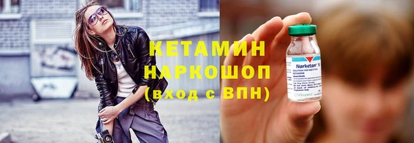 крисы Инта