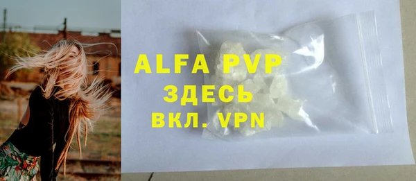 ГАЛЛЮЦИНОГЕННЫЕ ГРИБЫ Иннополис