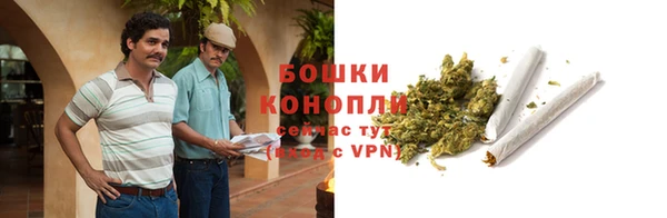 ГАЛЛЮЦИНОГЕННЫЕ ГРИБЫ Иннополис
