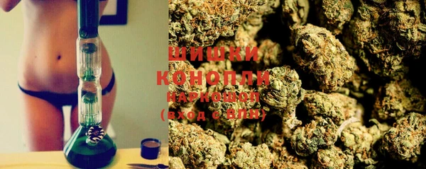 ГАЛЛЮЦИНОГЕННЫЕ ГРИБЫ Иннополис