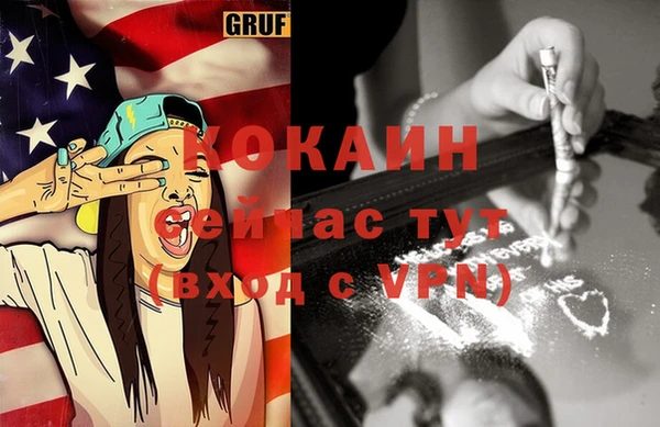 крисы Инта
