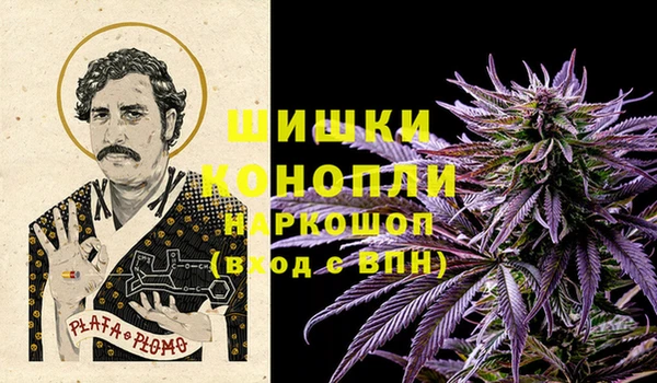 ГАЛЛЮЦИНОГЕННЫЕ ГРИБЫ Иннополис