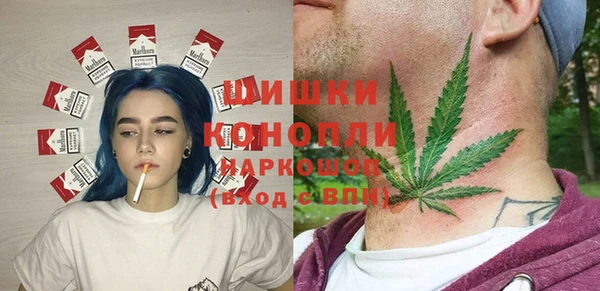 ГАЛЛЮЦИНОГЕННЫЕ ГРИБЫ Иннополис
