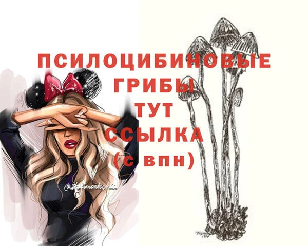 МДМА Инсар