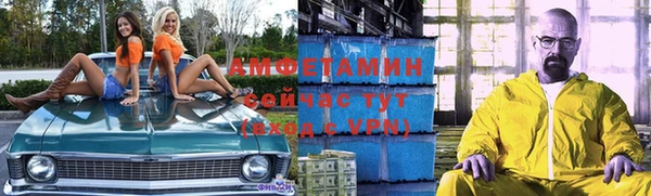 ГАЛЛЮЦИНОГЕННЫЕ ГРИБЫ Иннополис